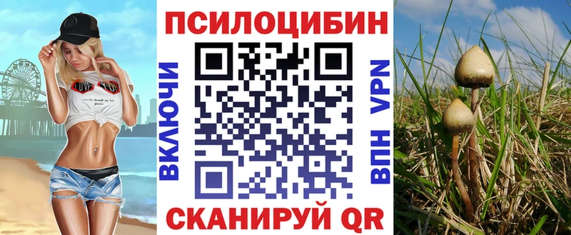где найти   Сердобск  Галлюциногенные грибы ЛСД 